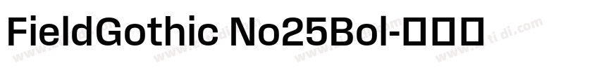 FieldGothic No25Bol字体转换